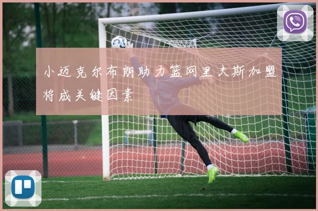 小迈克尔布朗助力篮网里夫斯加盟将成关键因素